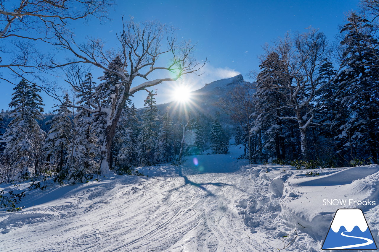 大雪山層雲峡・黒岳ロープウェイスキー場｜雪質も、景色も。やはり黒岳は別格。パウダースノーが舞う、北海道最高所にあるスキー場が営業開始！